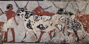 Chambre funéraire de Zenue, Groupe de bovins, en Égypte antique, vers 1400 av. J.-C.